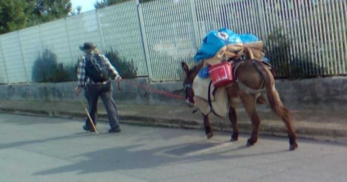 Bari, avvistati Diana e il suo asino: a piedi dalla Francia alla "scoperta" di Aldo Moro